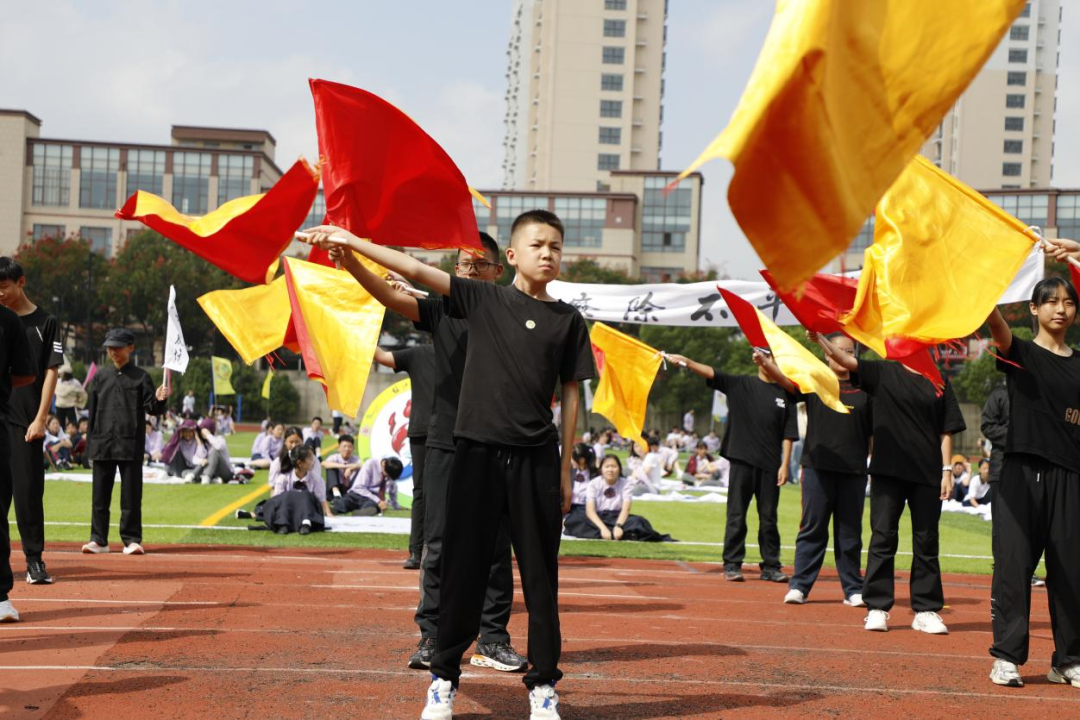 精彩绝伦：风云变幻再现体坛巅峰